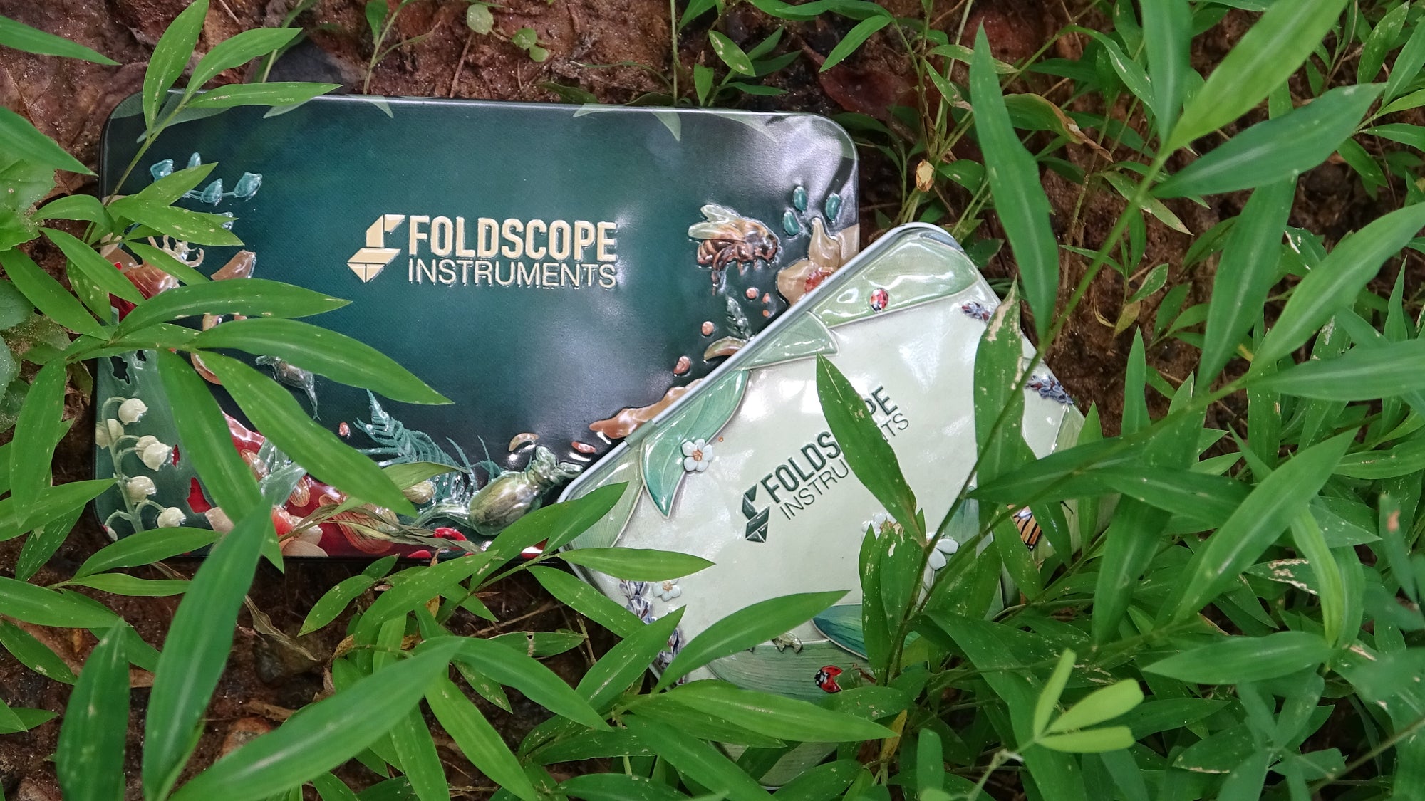 Foldscope Explores... How To Begin