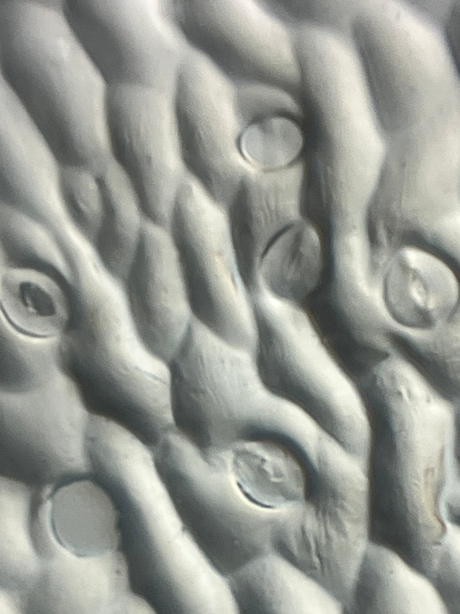Foldscope Explores... Shadows!
