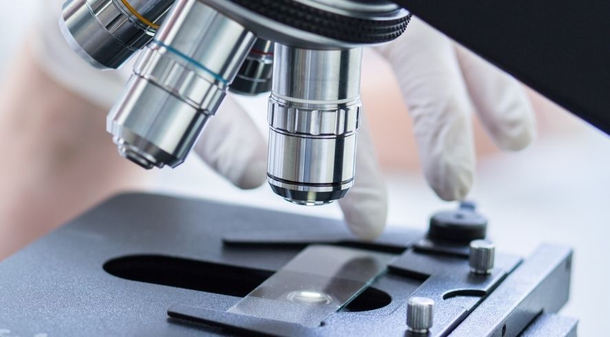 What Are the Functions of Microscope Objective Lenses?