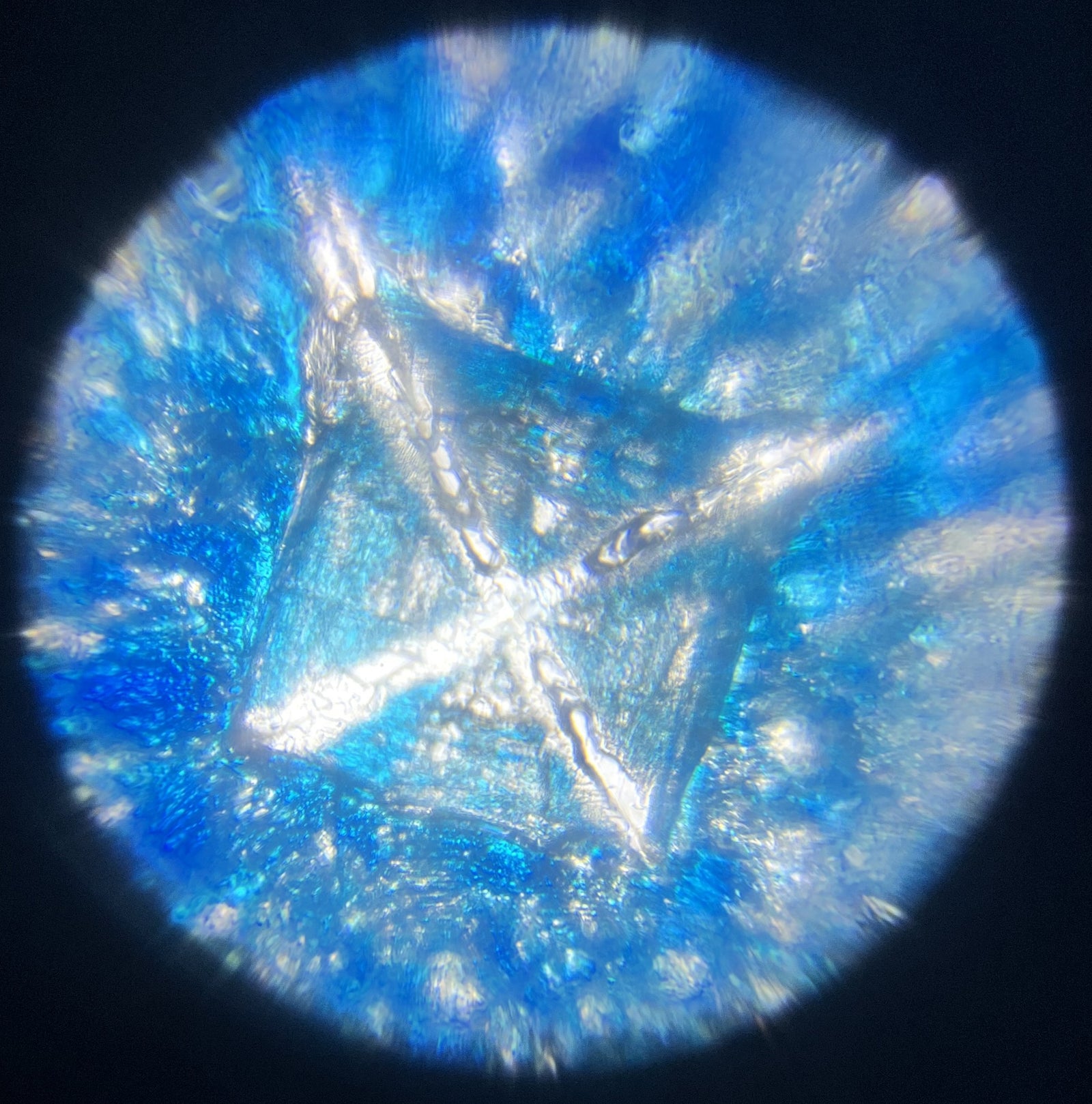 Foldscope In The Classroom: Evaporation