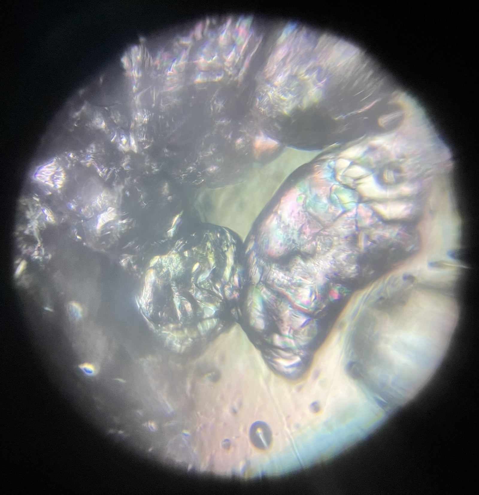 Foldscope In The Classroom: Polarized Light