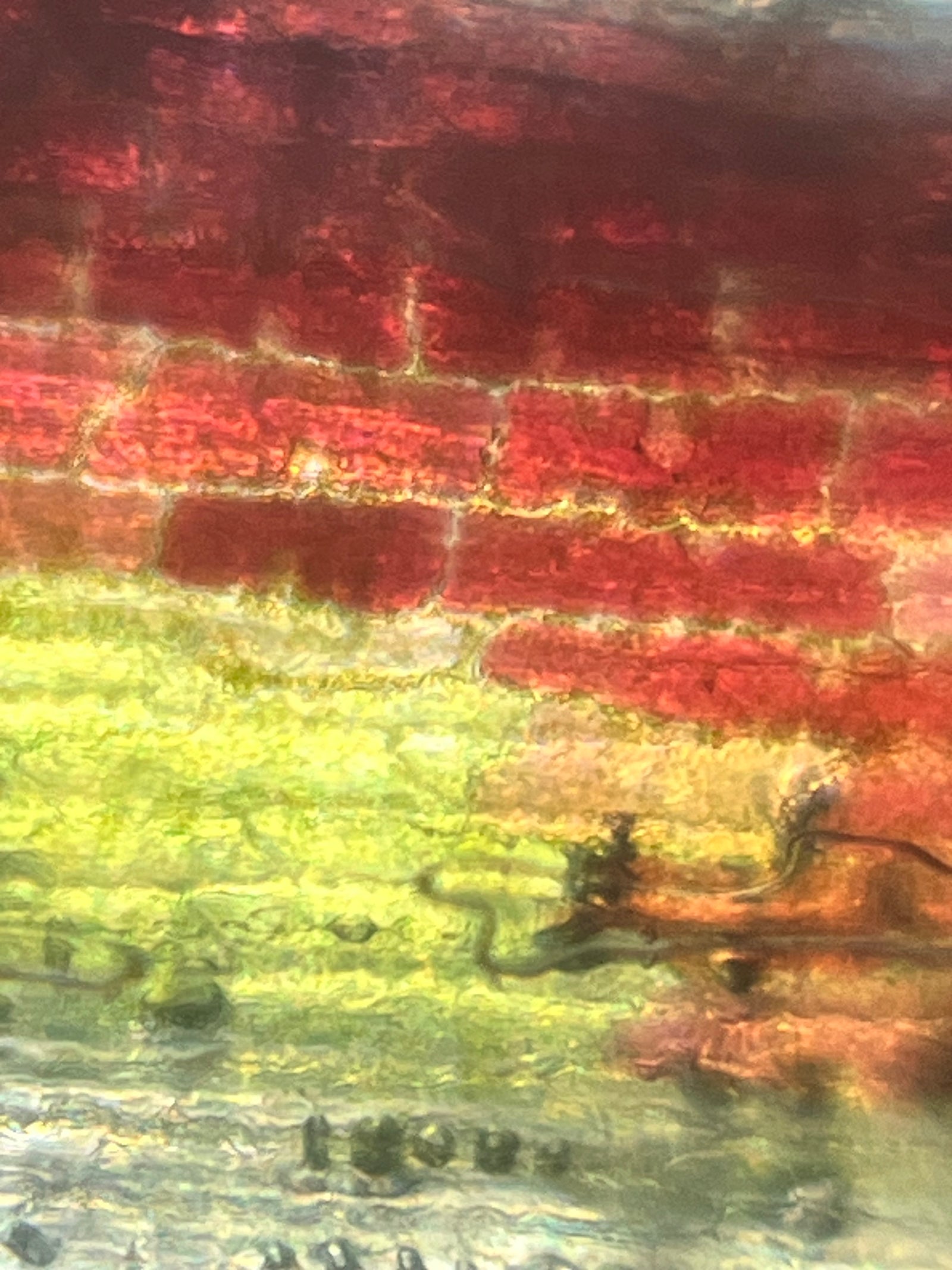 Foldscope Explores... Flower Petals