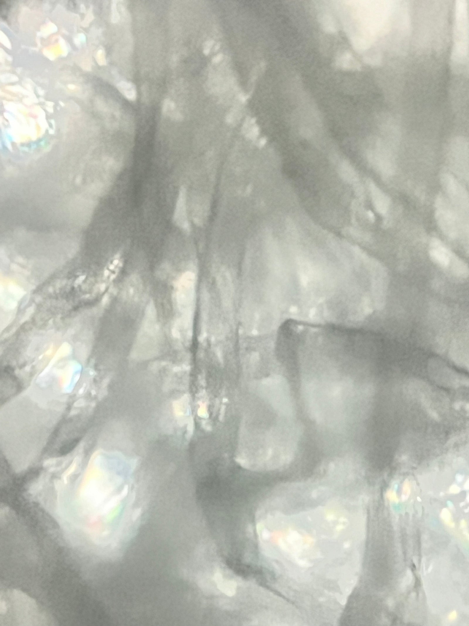 Foldscope Explores... Tissues!