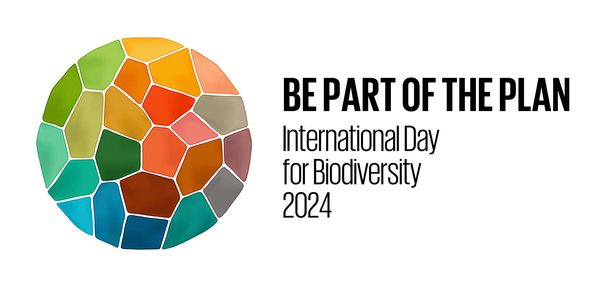 Foldscope In The Classroom: UN Biodiversity Day