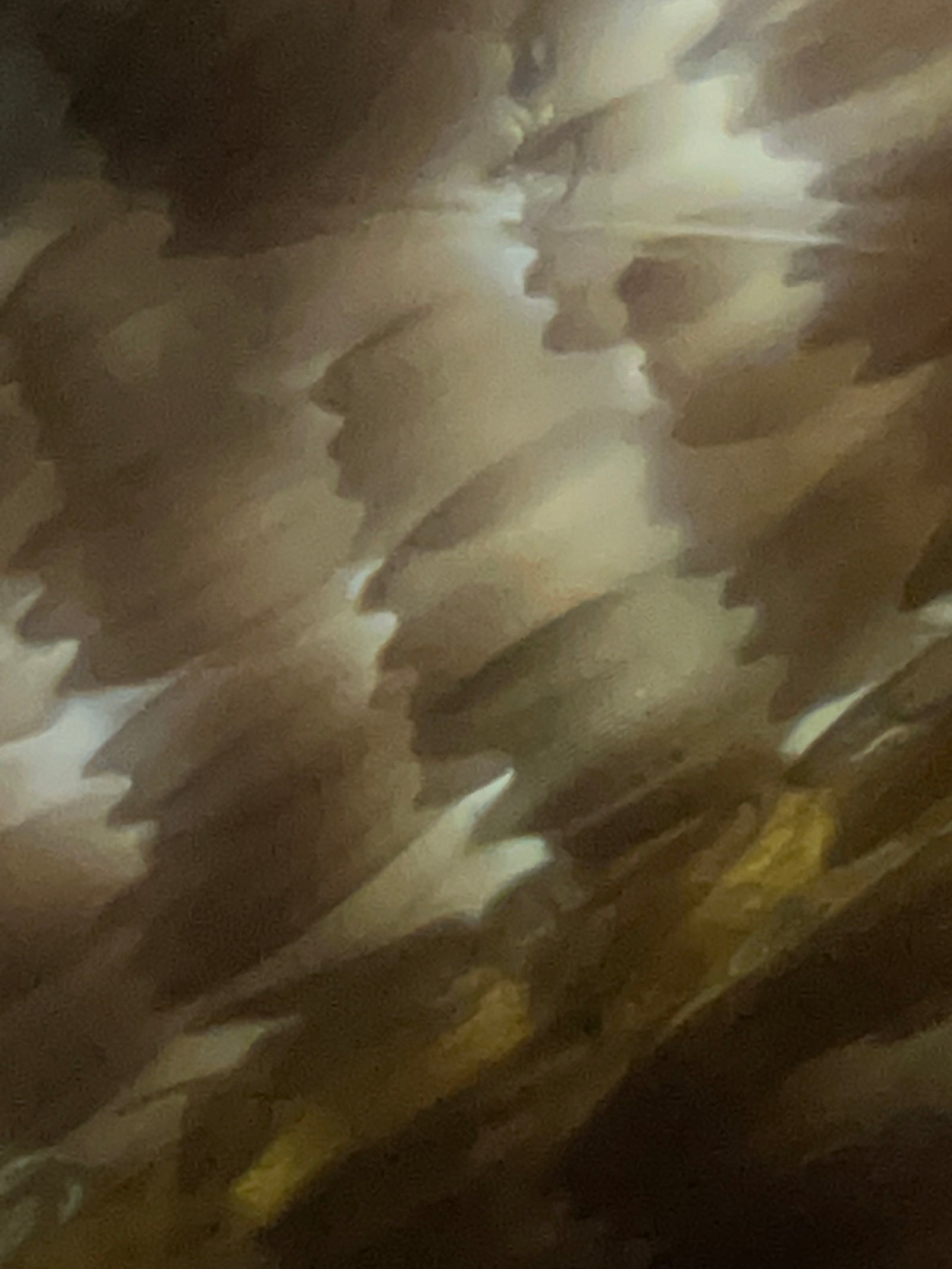 Foldscope Explores… Butterfly Scales and Light!