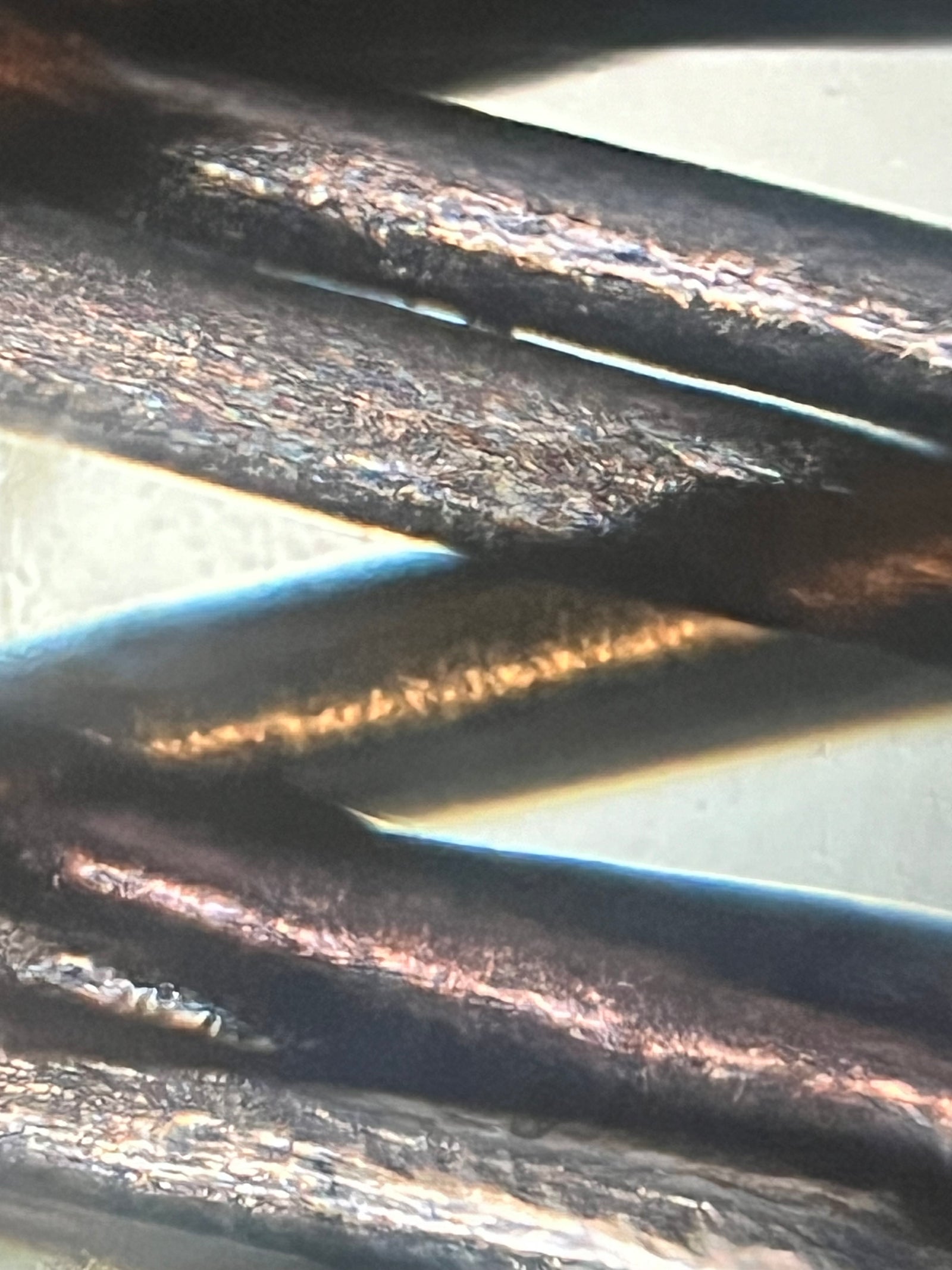 Foldscope Explores… Dyed Hair!