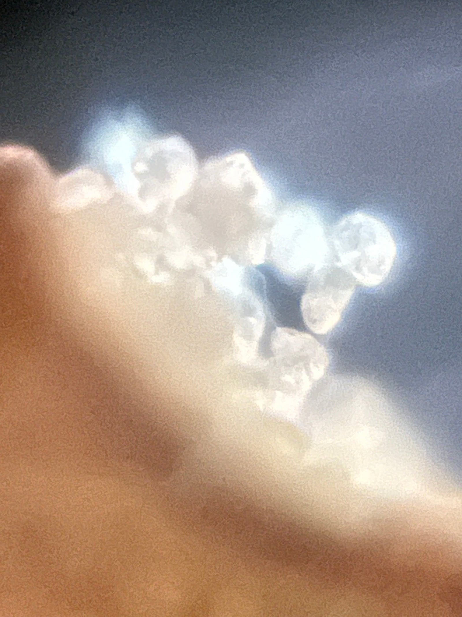 Foldscope Explores... Life And Light In The Winter!