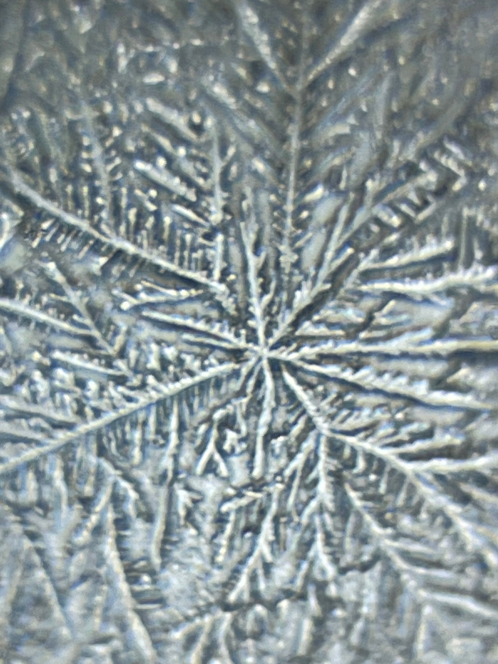 Foldscope Explores… Snowflakes, Ferns, and Runny Noses?