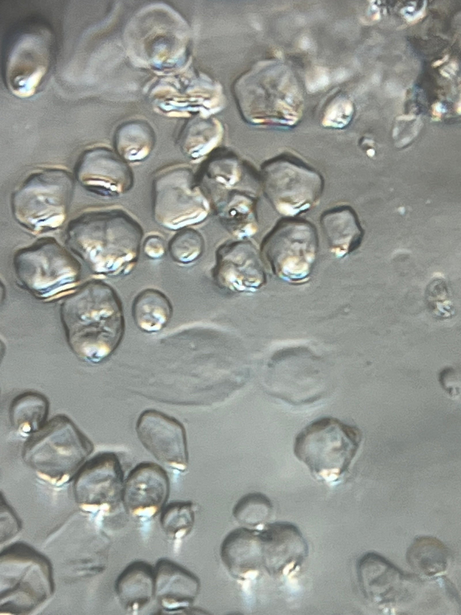 Foldscope Explores... Conversation Hearts!