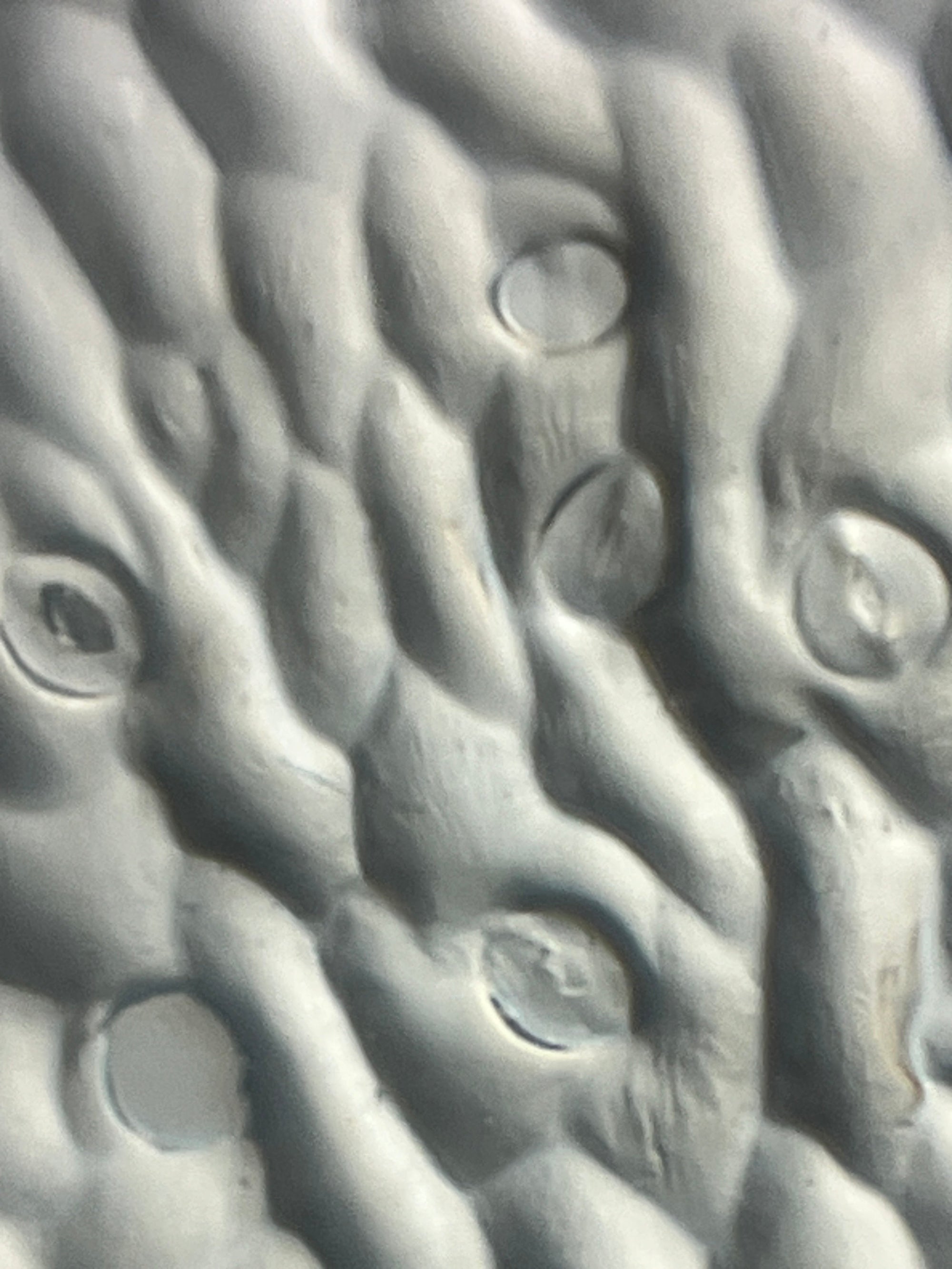 Foldscope Explores... Shadows!
