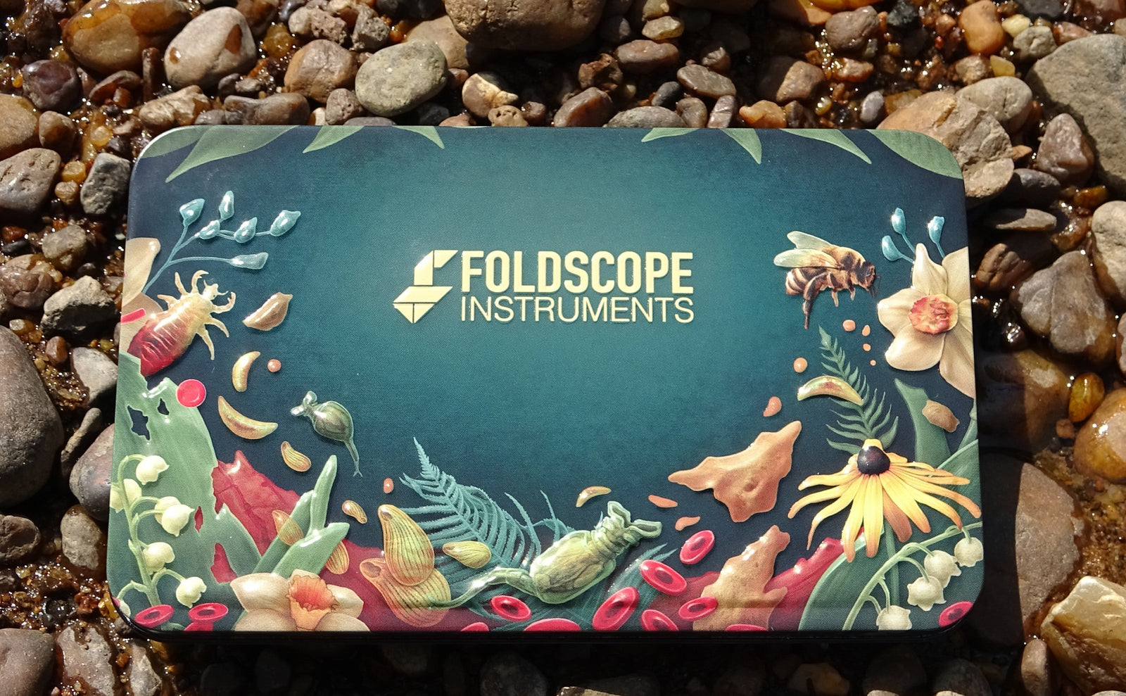 Foldscope In The Classroom: In The Garden 10: Year End Reflection