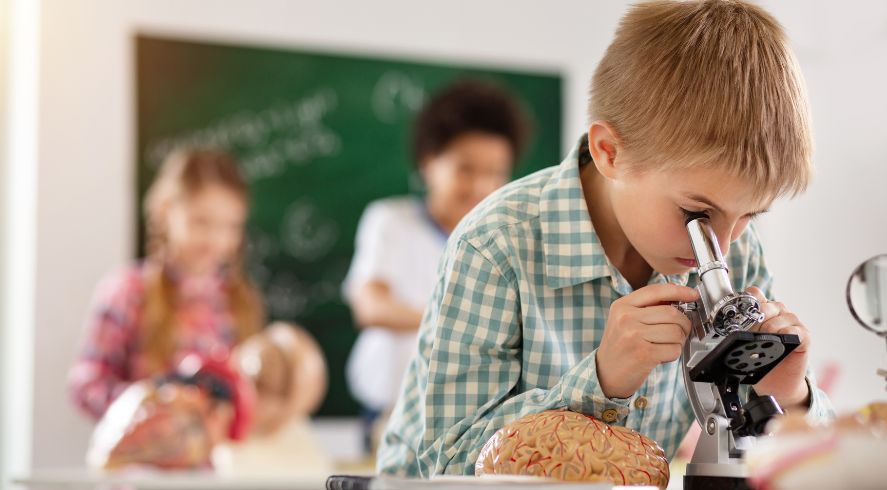 5 Microscope Activities for Science Classrooms