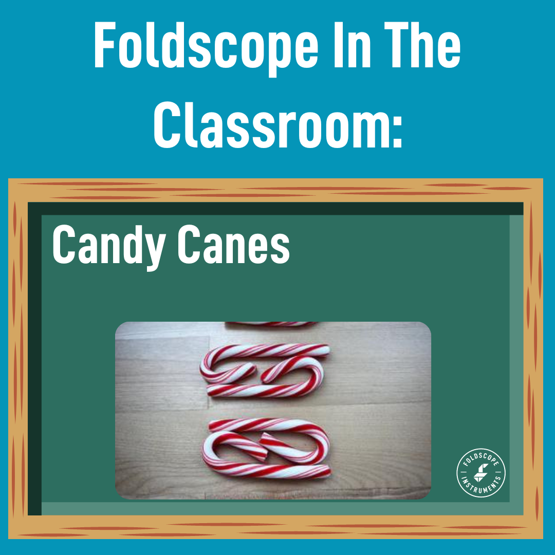 Foldscope In The Classroom: National Candy Cane Day!