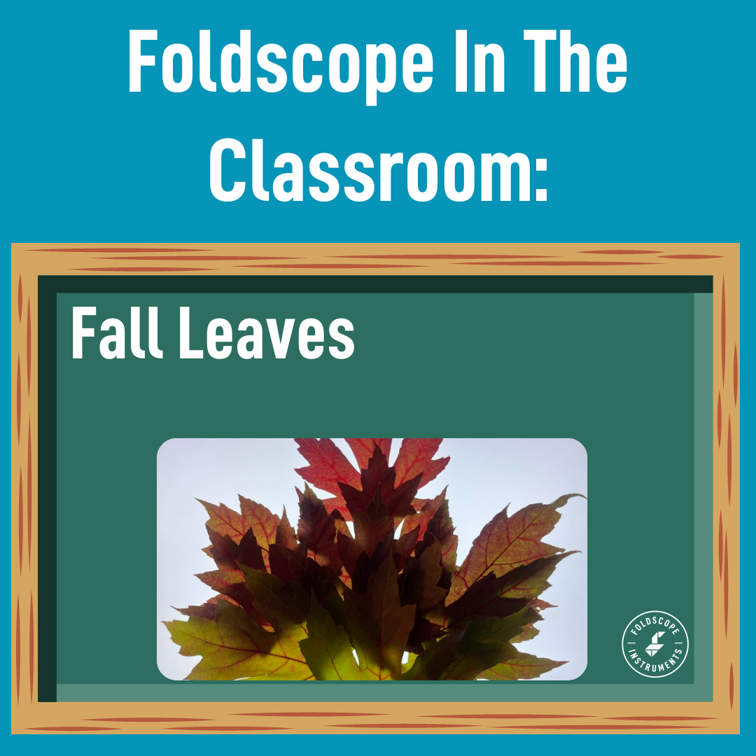 Foldscope In The Classroom: Color: Hiding In Plain Sight