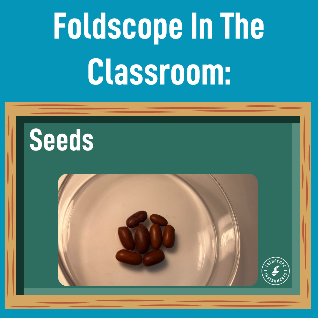 Foldscope In The Classroom: Seeds