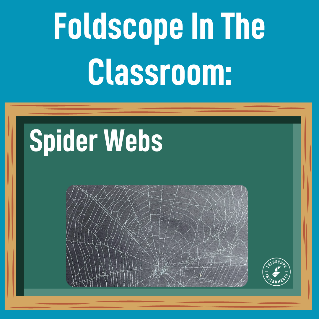 Foldscope In The Classroom: Surprising Spiderweb Structures