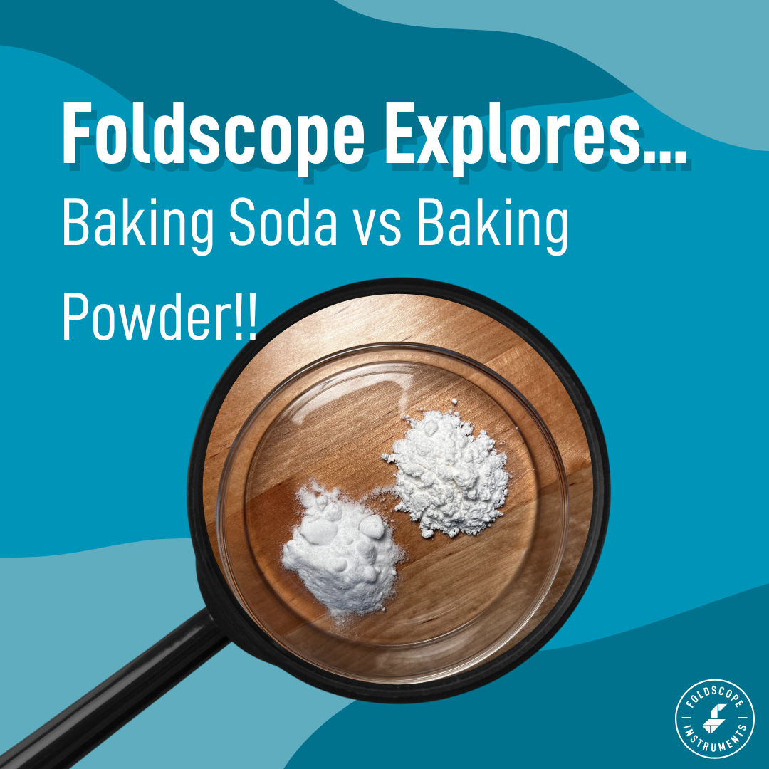 Foldscope Explores… Baking Soda vs. Baking Powder!!