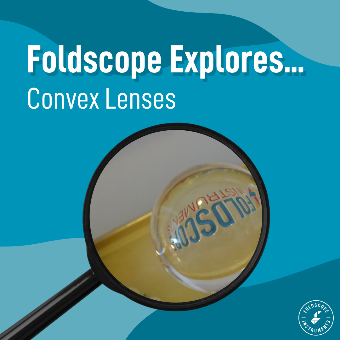 Foldscope Explores… Convex Lenses