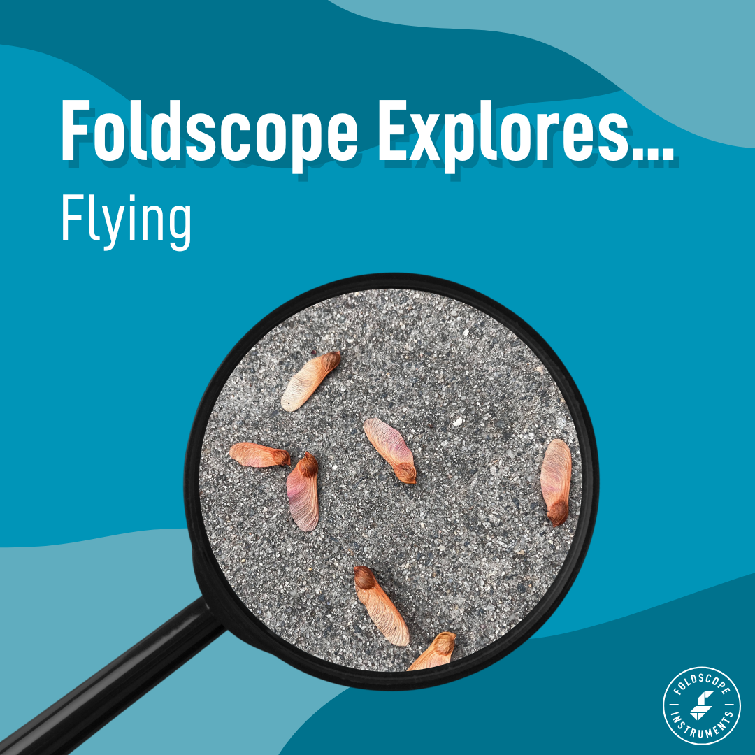 Foldscope Explores... Flying