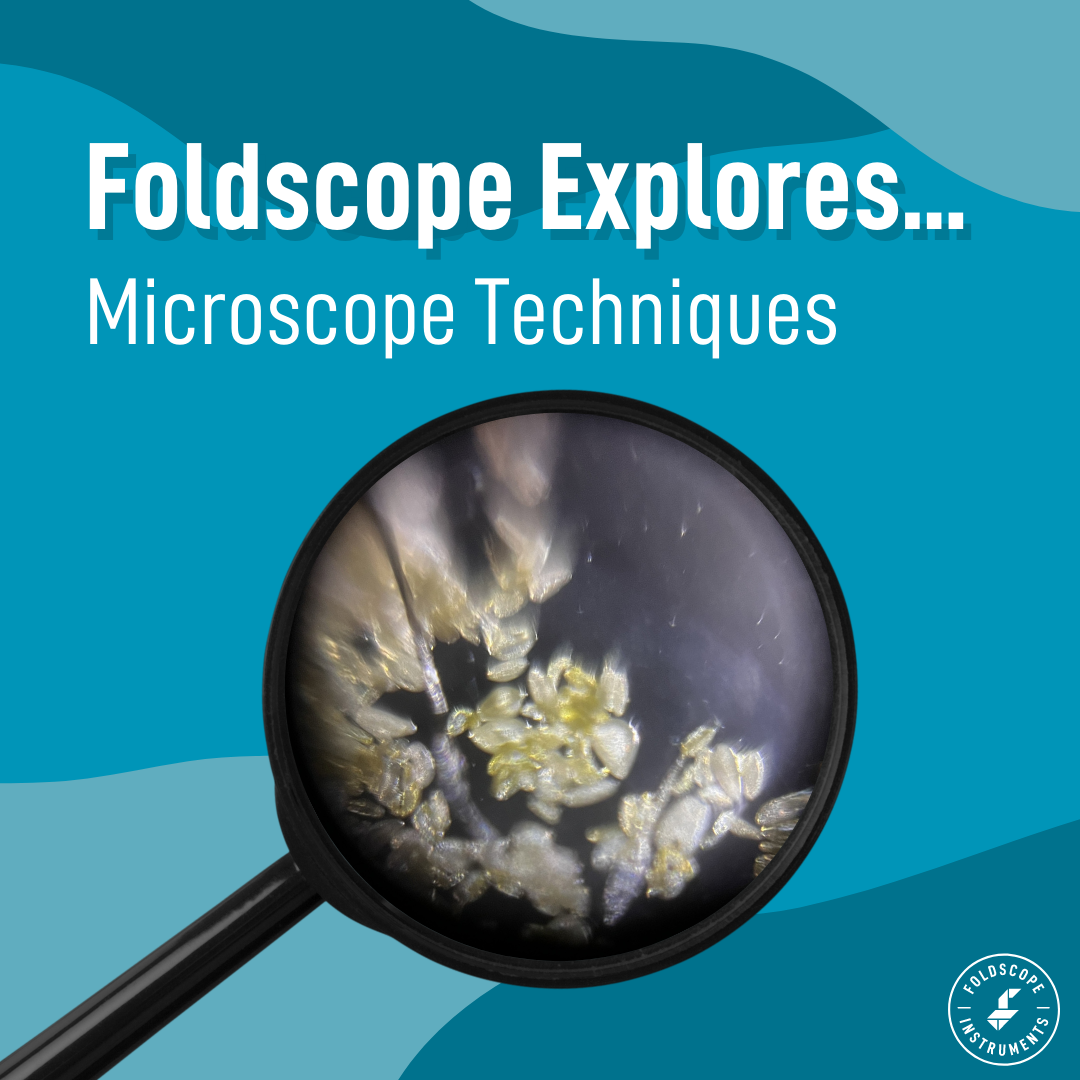 Foldscope Explores… Microscopy Techniques
