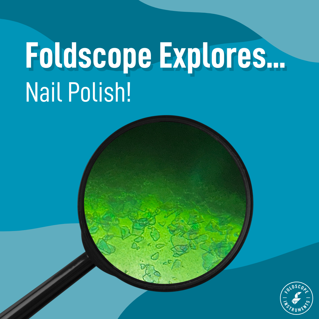 Foldscope Explores... Nail Polish!