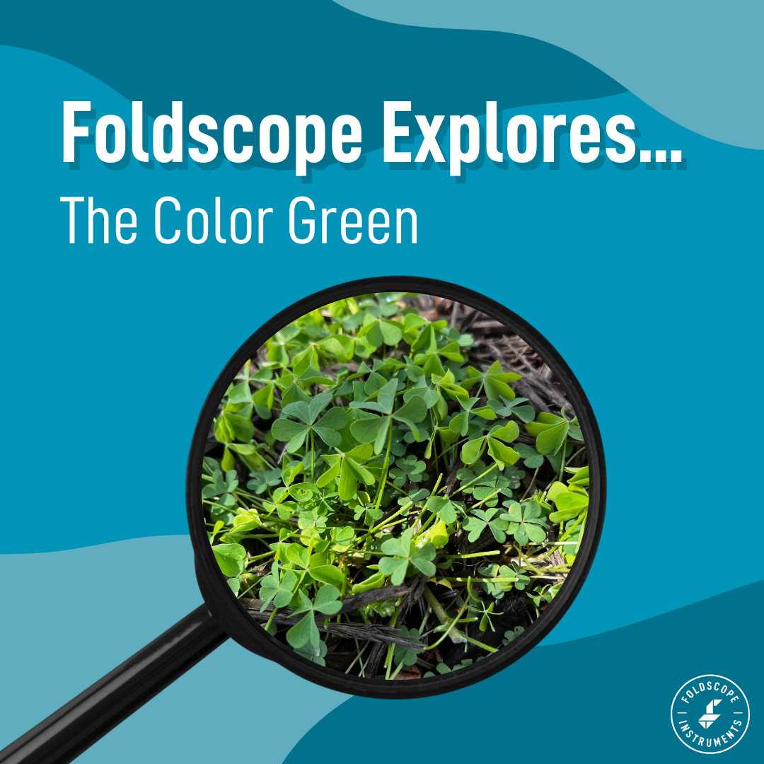 Foldscope Explores... The Color Green