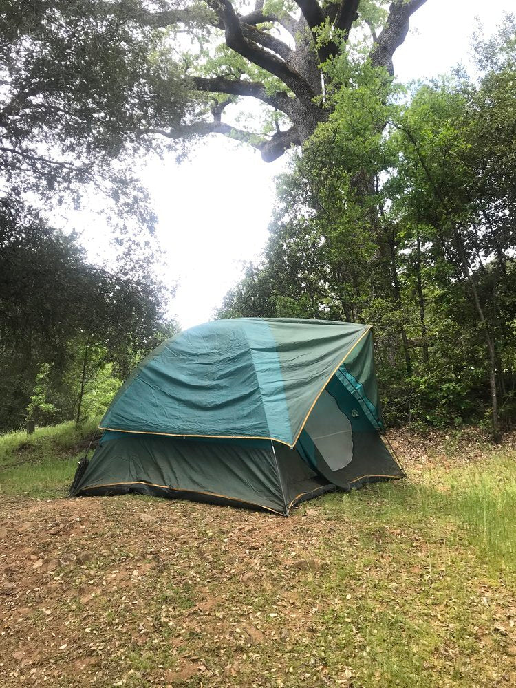 Big Sur, Little World