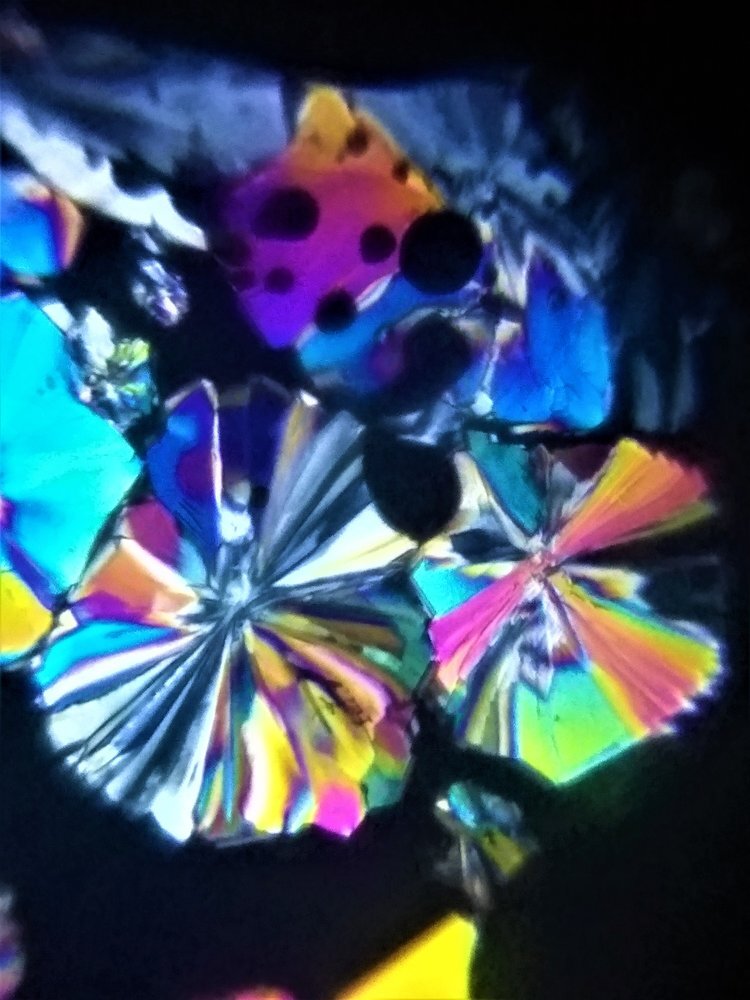 Polarization Microscopy