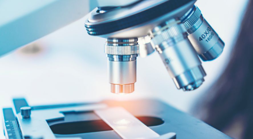 Easy Microbiology Activities You Can Do at Home