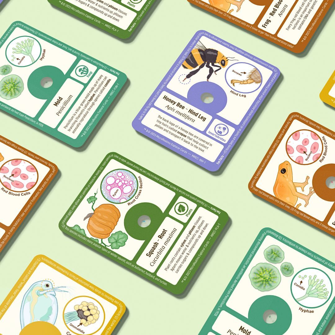 Microcreatures Cards MicroRealms Explorer Cards - Series 1 - Foldscope Instruments, Inc.