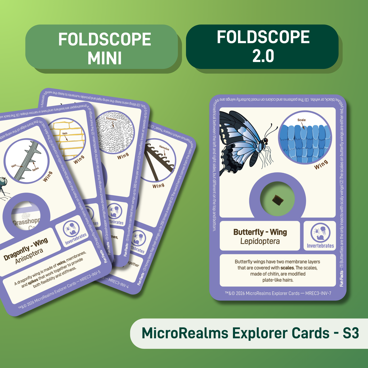 MicroRealms Explorer Cards - Series 3  NEW!