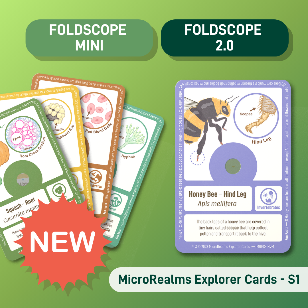 MicroRealms Explorer Cards - Series 1  -  Holiday Savings Event! - Save 20% effective 11/5/23 - 12/17/23