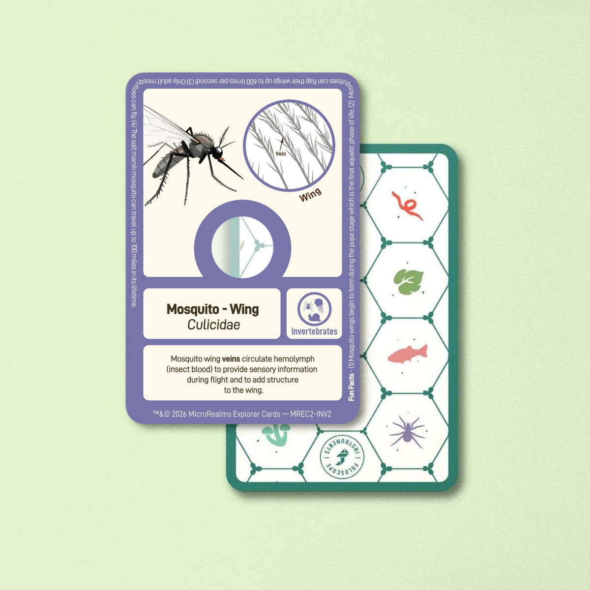 MicroRealms Explorer Cards - Series 2  NEW!