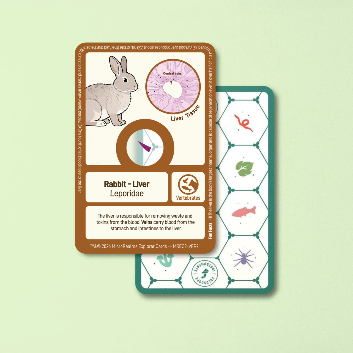 MicroRealms Explorer Cards - Series 2  NEW!