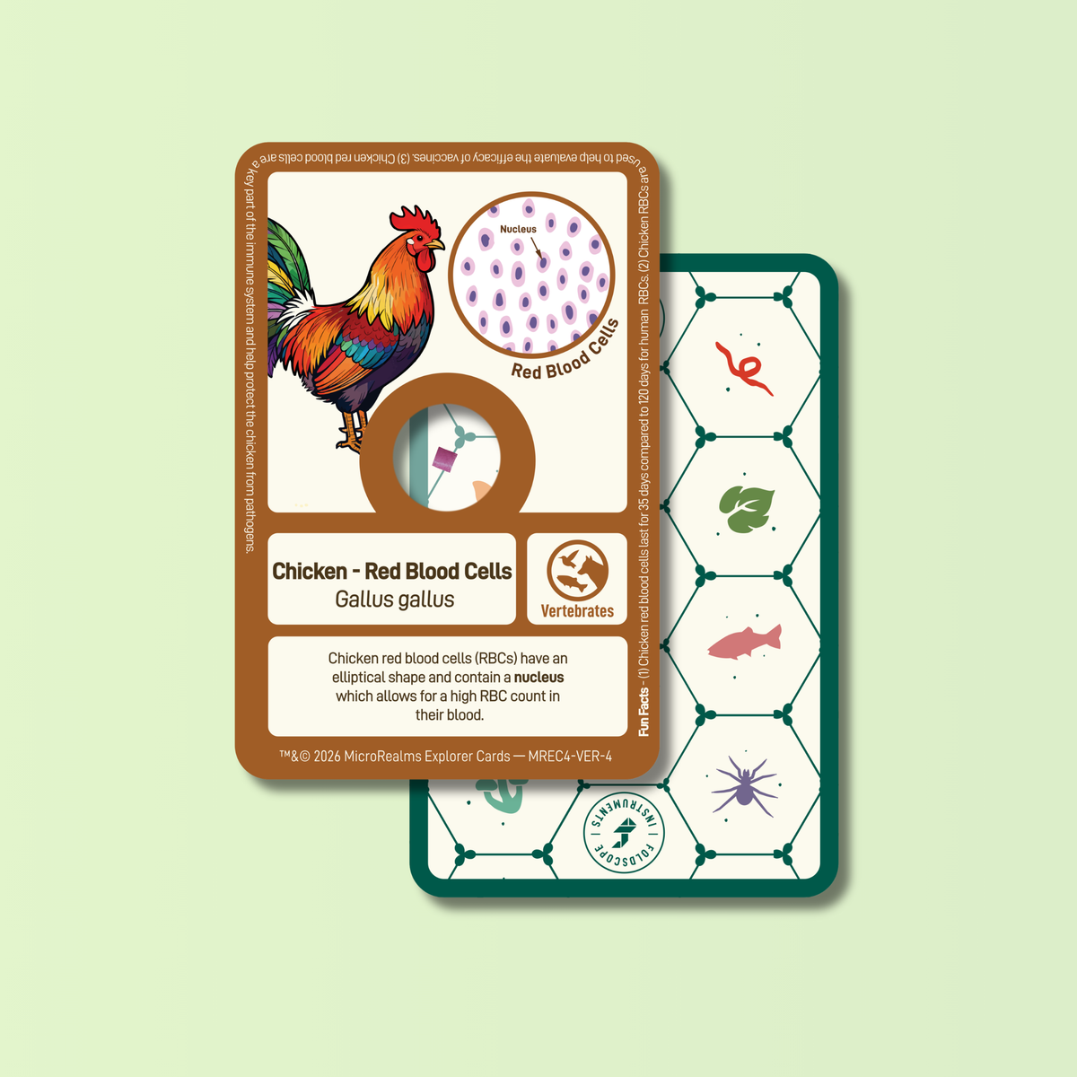 MicroRealms Explorer Cards - Series 4  NEW!