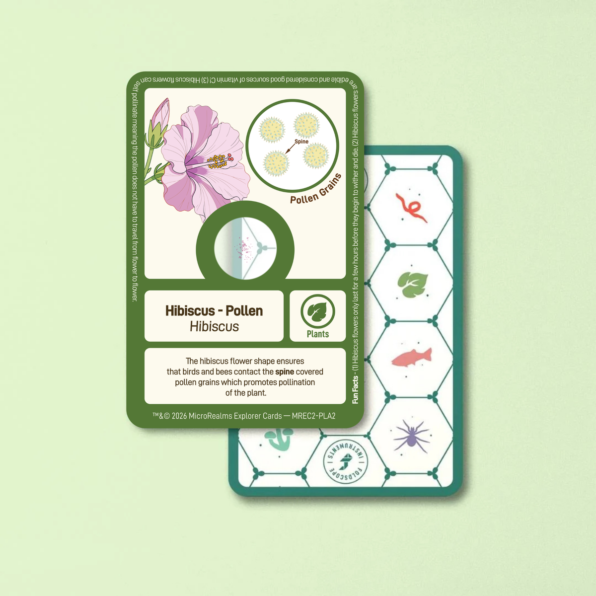MicroRealms Explorer Cards - Series 2  NEW!