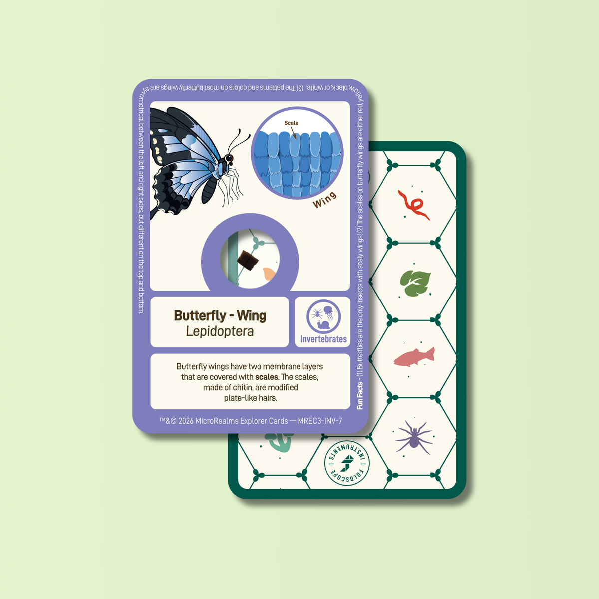 MicroRealms Explorer Cards - Series 3  NEW!