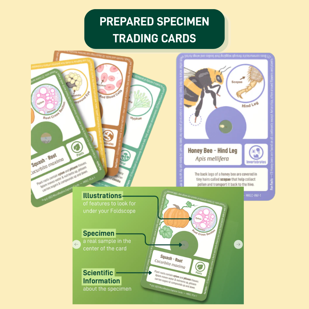 Foldscope 2.0 Bundle for K-12 Educators (US Market Only)