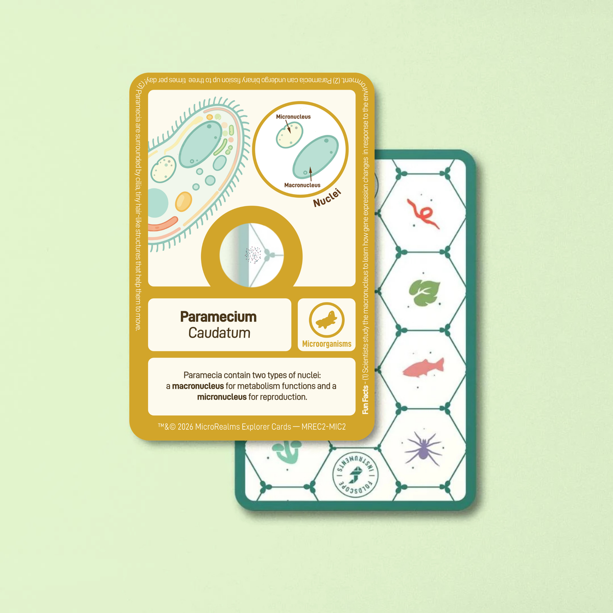 MicroRealms Explorer Cards - Series 2  NEW!