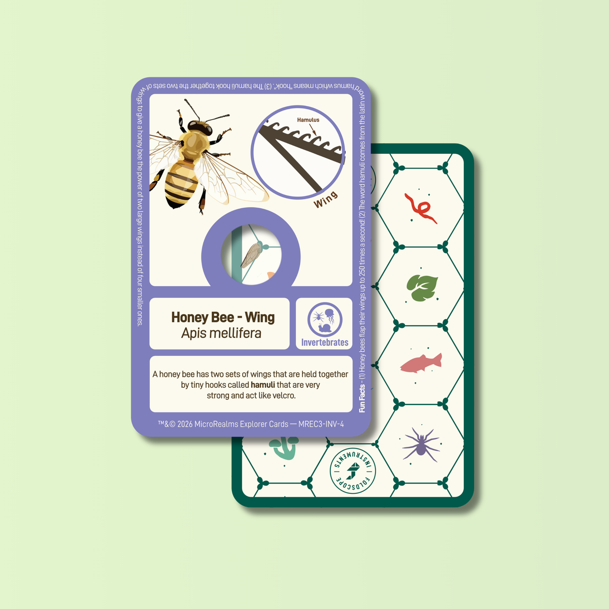 MicroRealms Explorer Cards - Series 3  NEW!