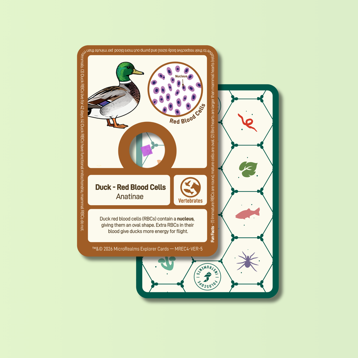 MicroRealms Explorer Cards - Series 4  NEW!