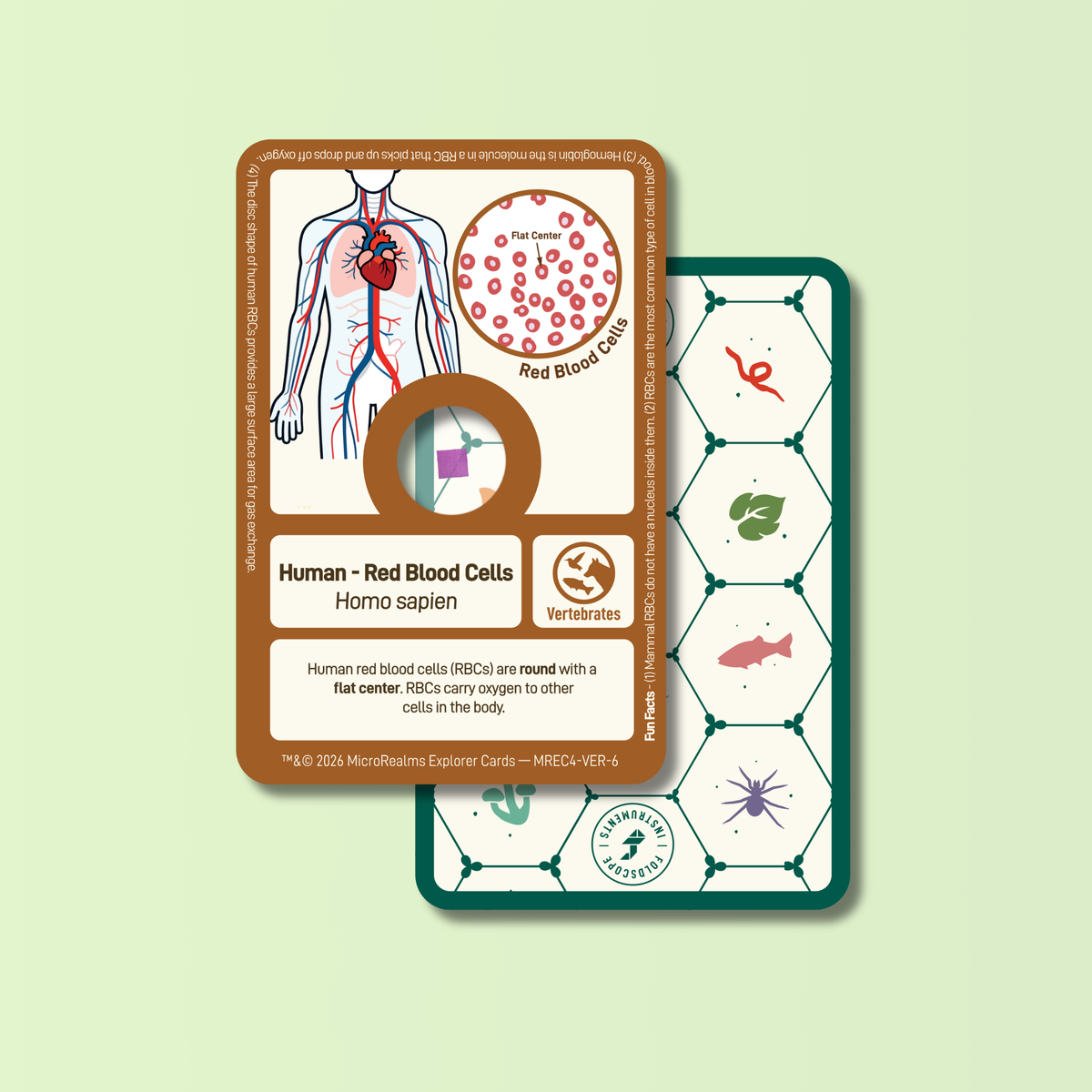 MicroRealms Explorer Cards - Series 4  NEW!