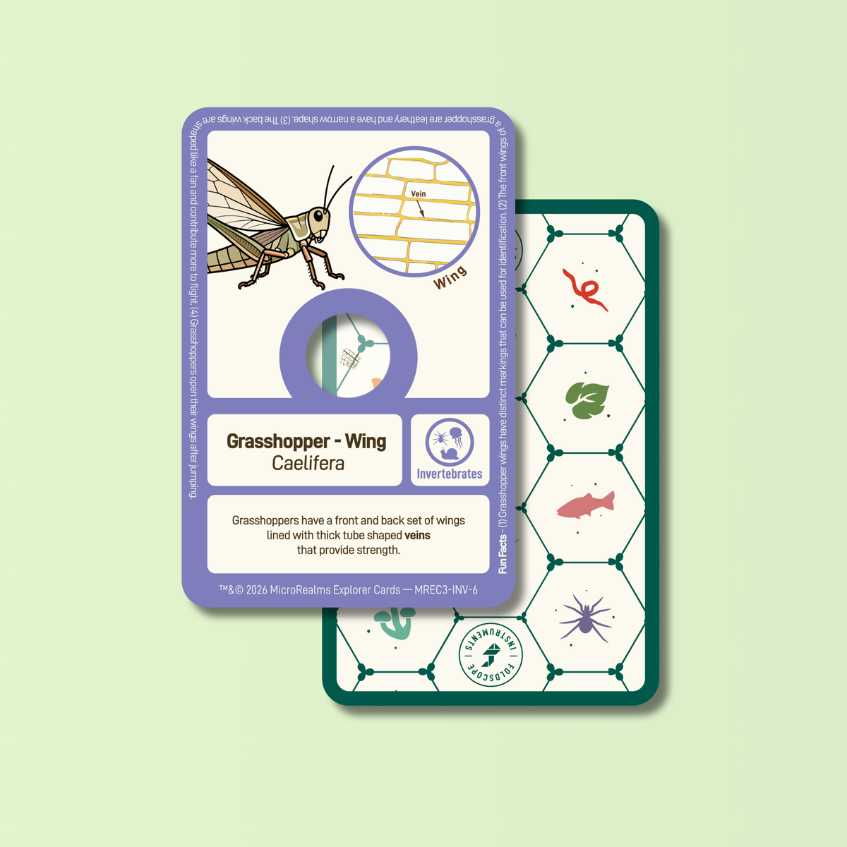 MicroRealms Explorer Cards - Series 3  NEW!