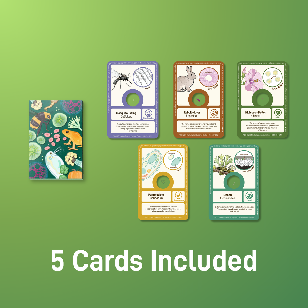MicroRealms Explorer Cards - Series 2  NEW!
