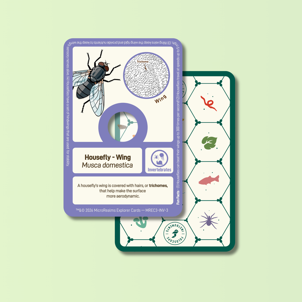 MicroRealms Explorer Cards - Series 3  NEW!