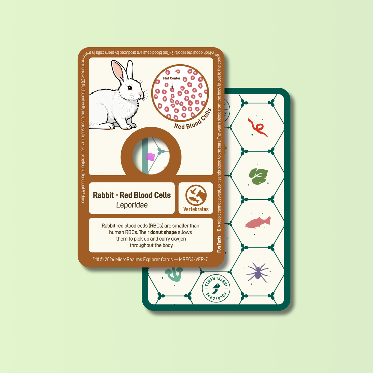 MicroRealms Explorer Cards - Series 4  NEW!