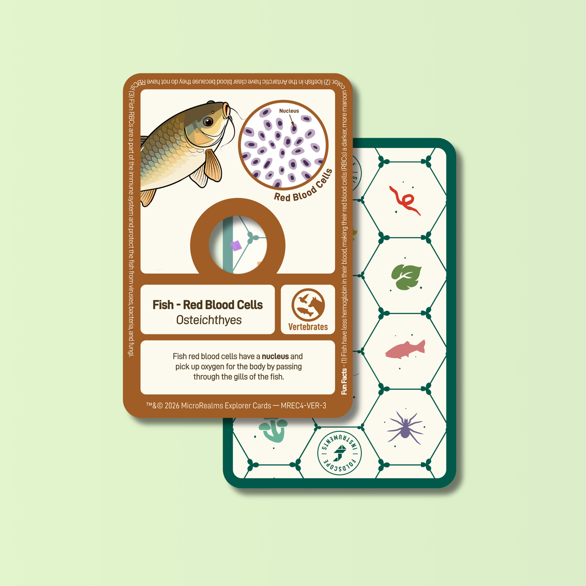 MicroRealms Explorer Cards - Series 4  NEW!