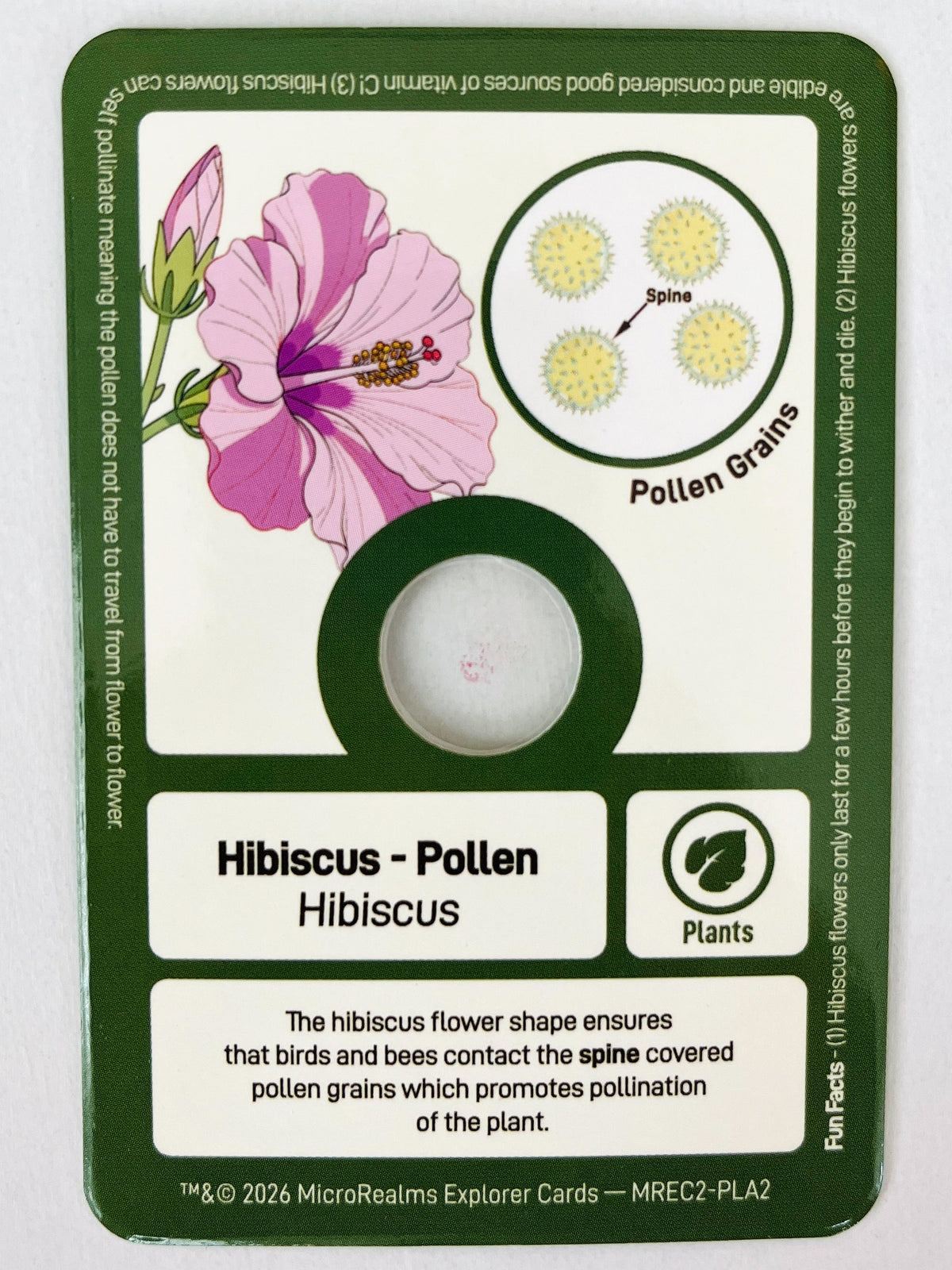 Hibiscus pollen card with botanical illustration on a white background