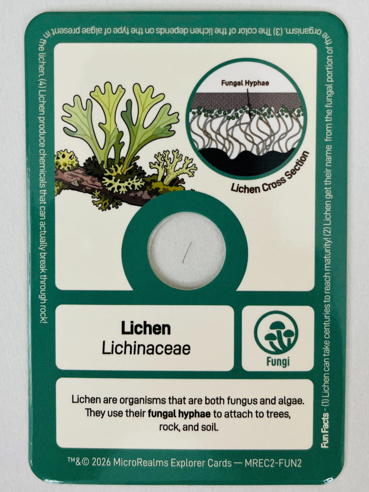 Card featuring lichen illustration and educational text on a gray background