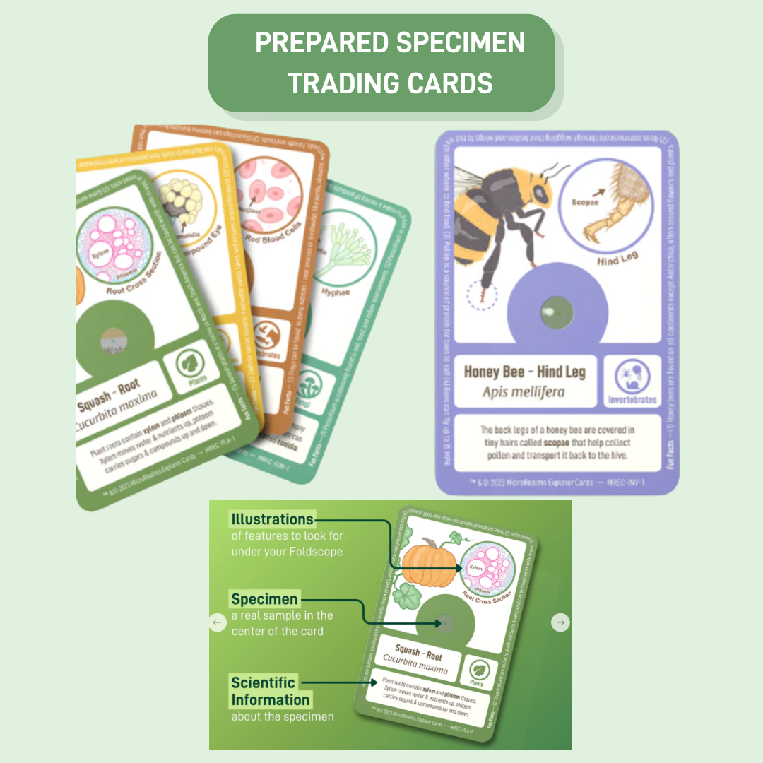 Foldscope Mini  Bundle for K-12 Educators (US Market Only)